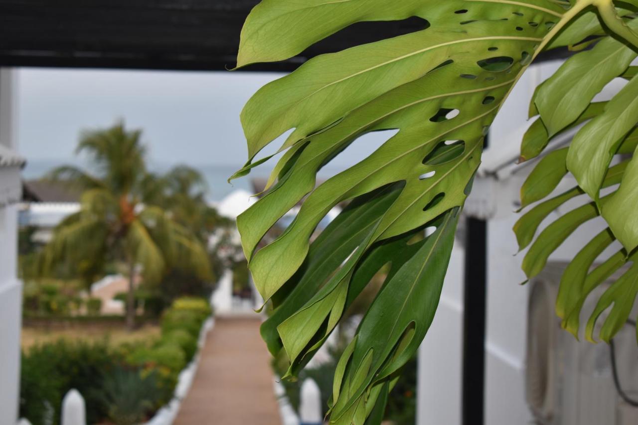 Kendwa Beach Resort ภายนอก รูปภาพ
