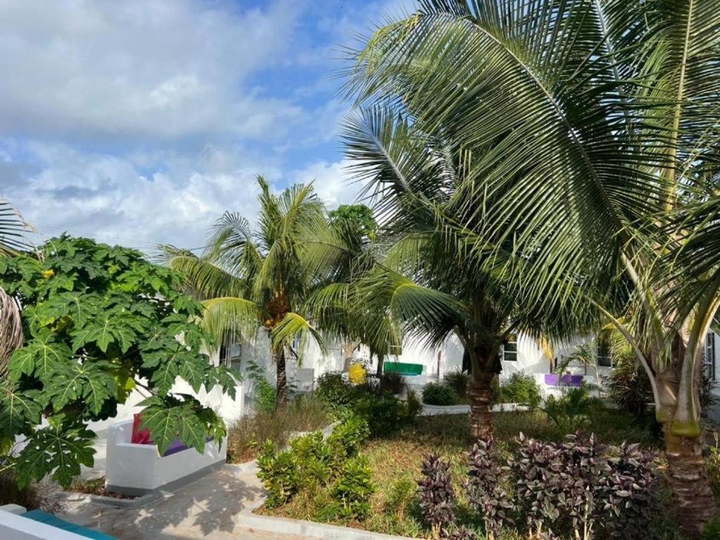 Kendwa Beach Resort ภายนอก รูปภาพ